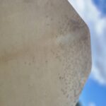 Tambour chamanique en peau de chèvre
