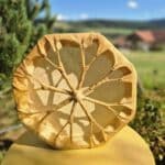 Tambour chamanique en peau de chèvre