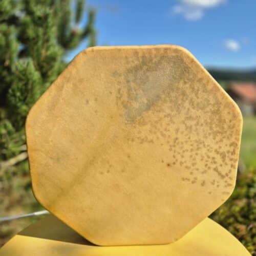 Chevre Esturgeon octogonal4 Tambour chamanique en peau de chèvre